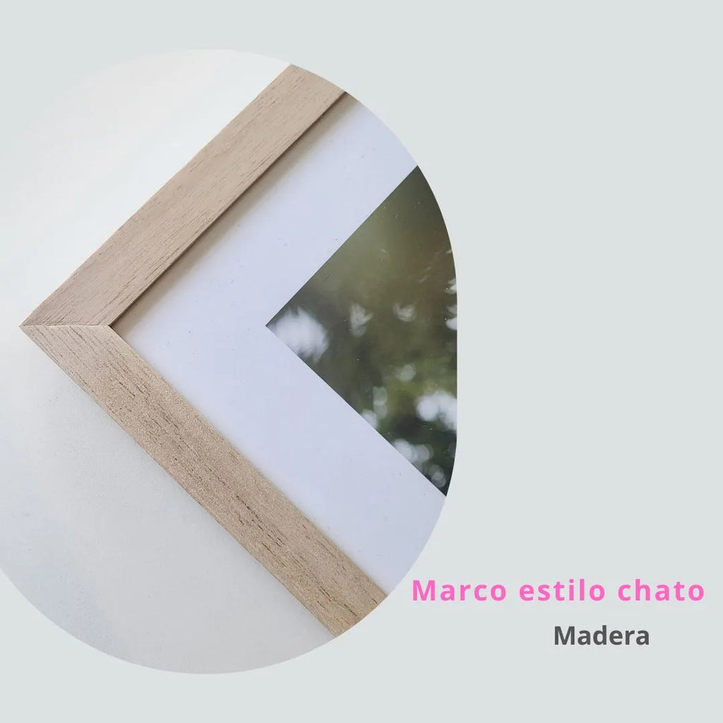 Set X3 Cuadros Hojas Arena Minimalista Moderno Deco C/vidrio