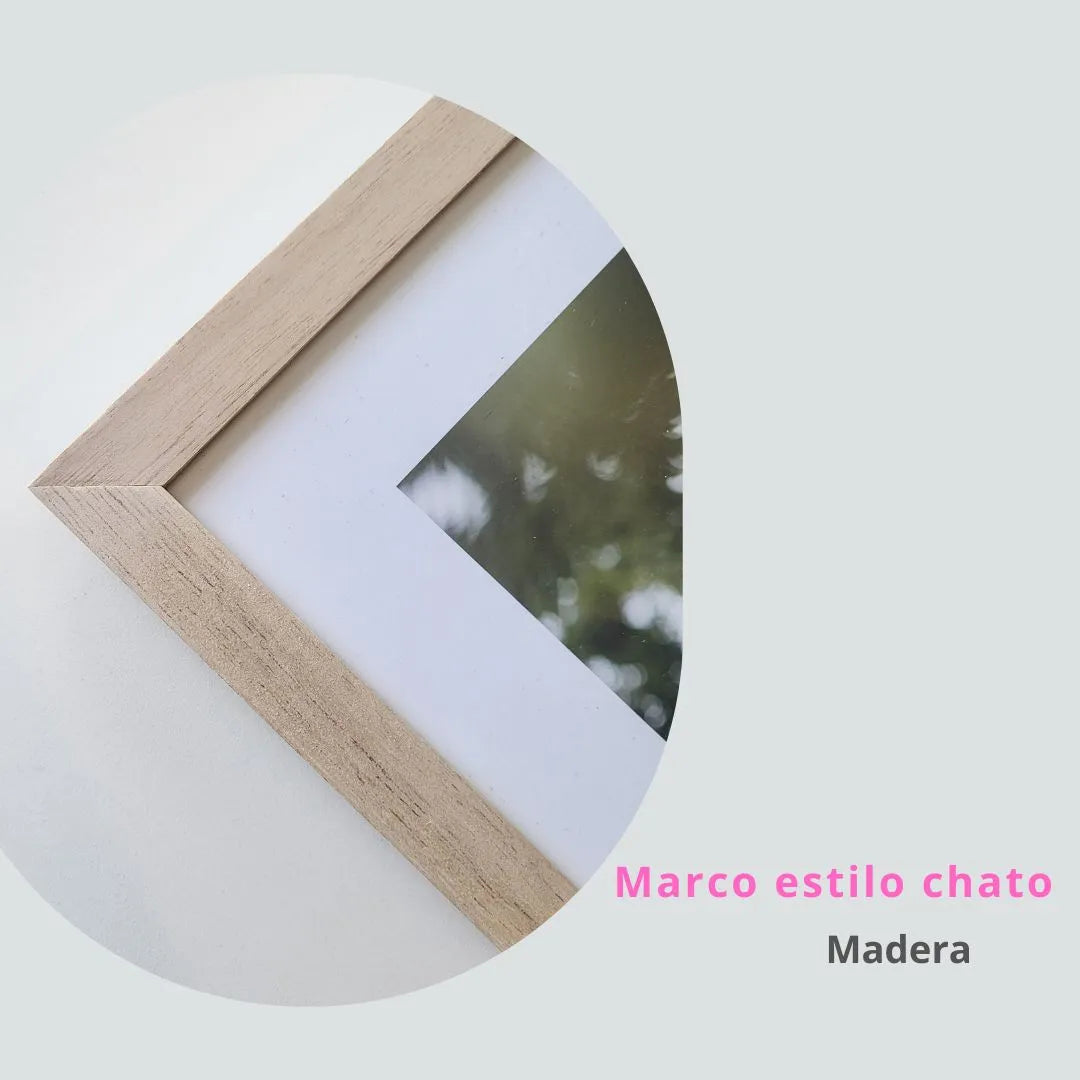 Set X3 Cuadros Hojas Arena Minimalista Moderno Deco C/vidrio